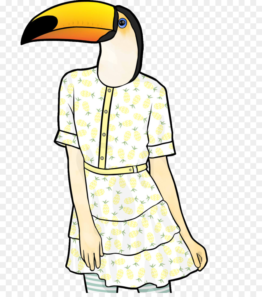 Toucan En Robe，Oiseau PNG