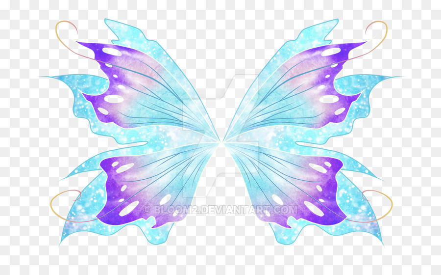 Ailes De Papillon，Coloré PNG