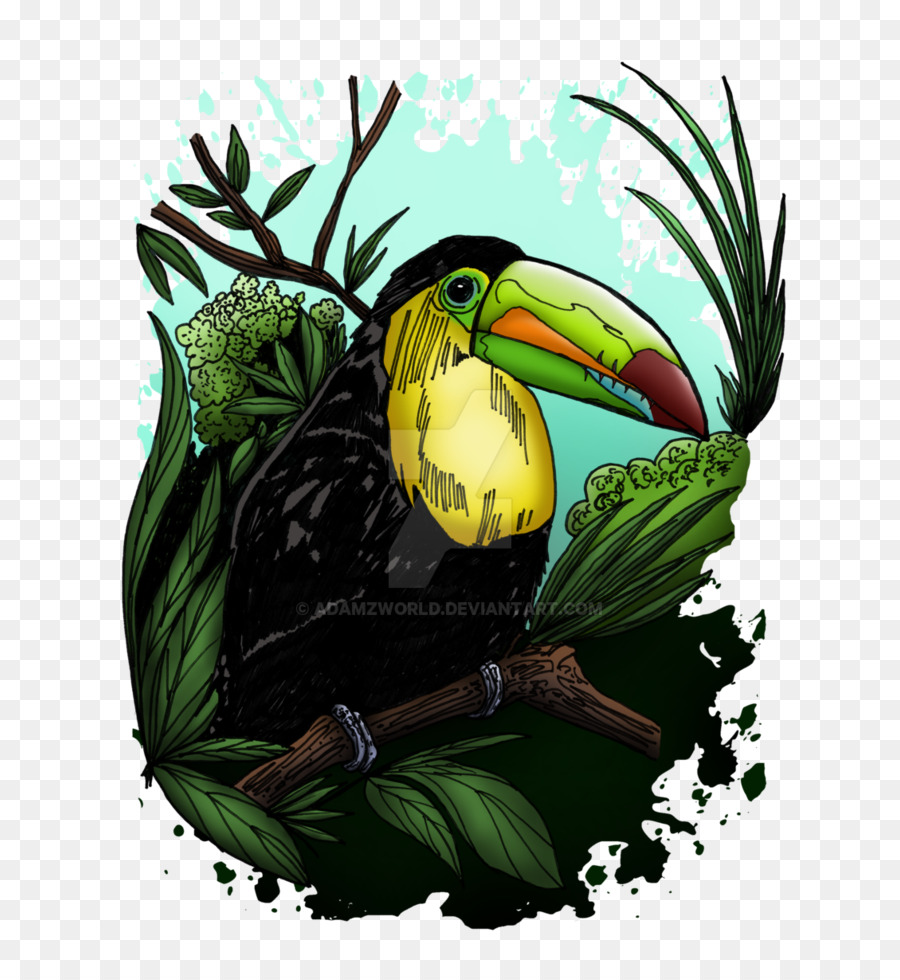 Tshirt，Oiseau PNG