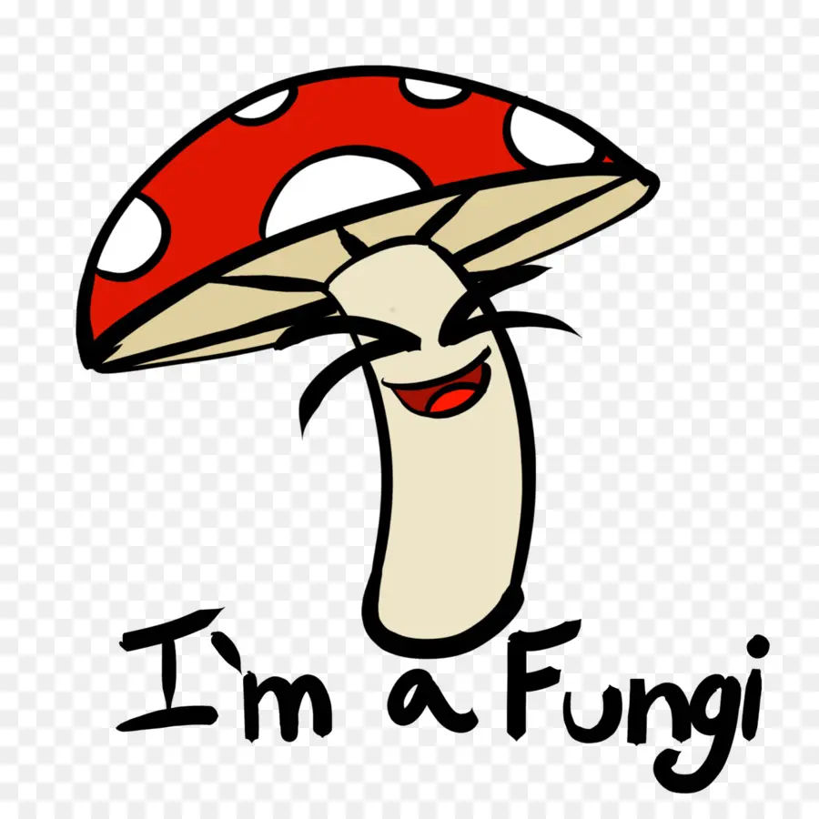 Champignons，Champignon PNG