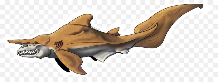 Requin Requin Gobelin Evolution Des Requins Affames Png Requin Requin Gobelin Evolution Des Requins Affames Transparentes Png Gratuit