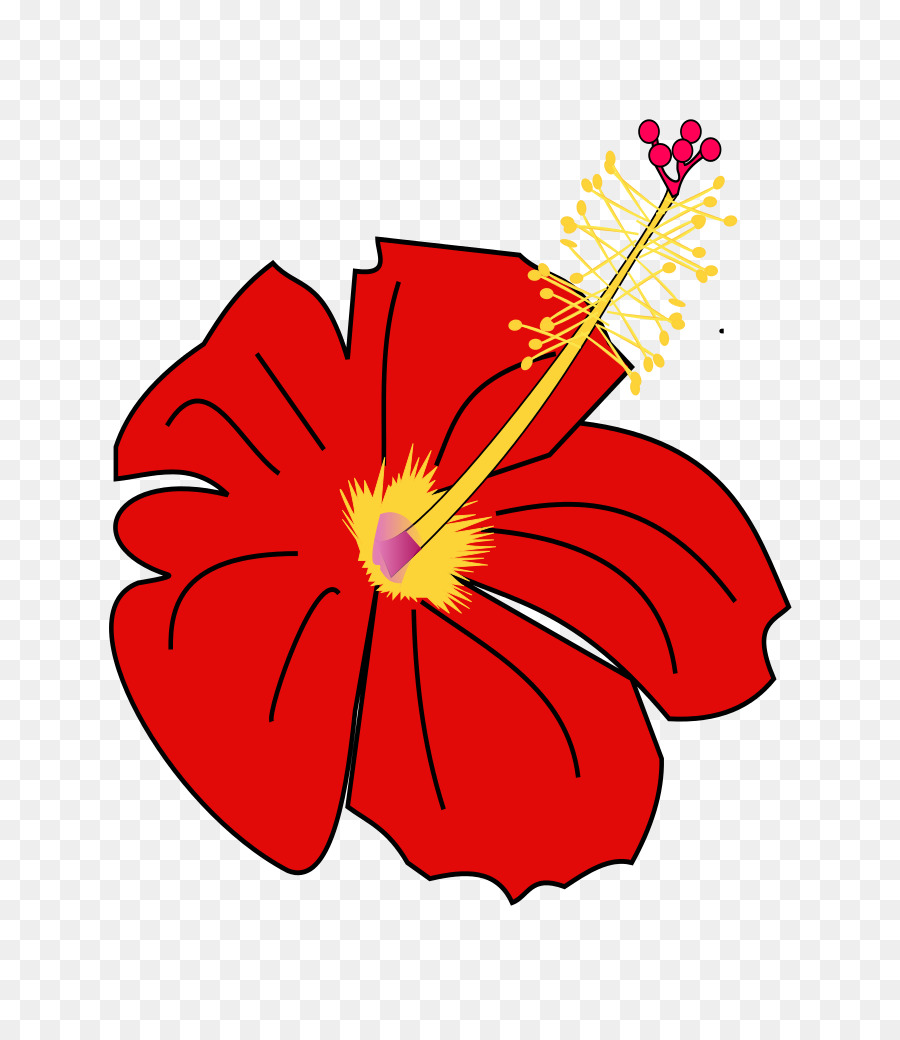 Fleur，Hibiscus Moscheutos PNG