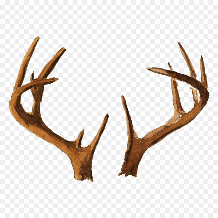 Bois，Cerf PNG