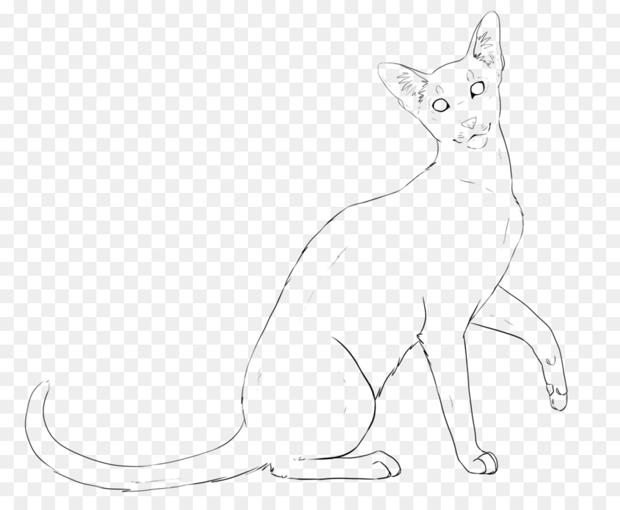 Croquis De Chat，Animal PNG