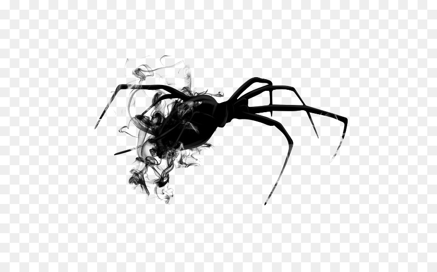 Araignée Noire，Insecte PNG