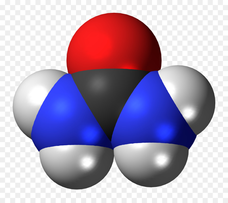 Modèle Moléculaire，Atomes PNG