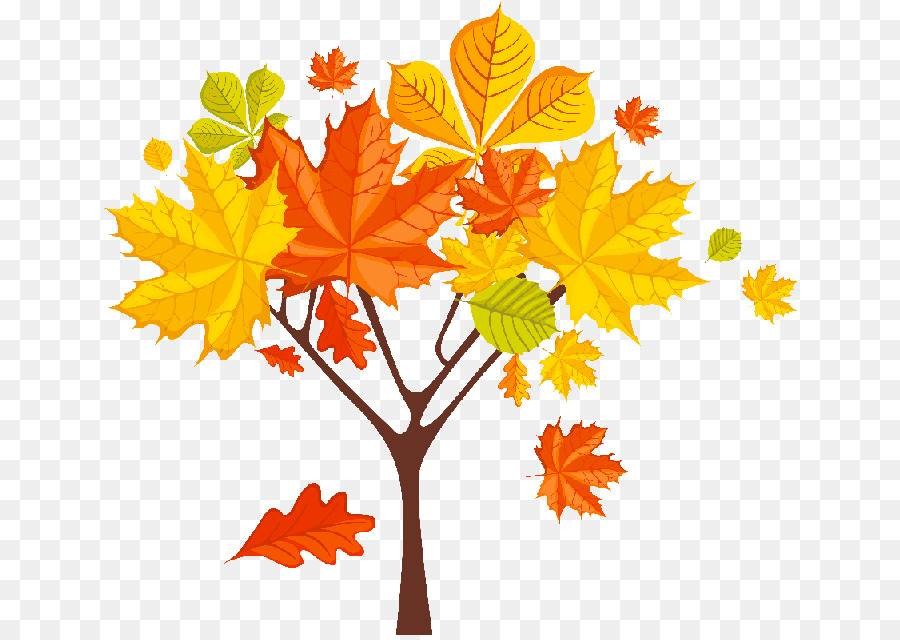 Feuilles D'automne，Automne PNG