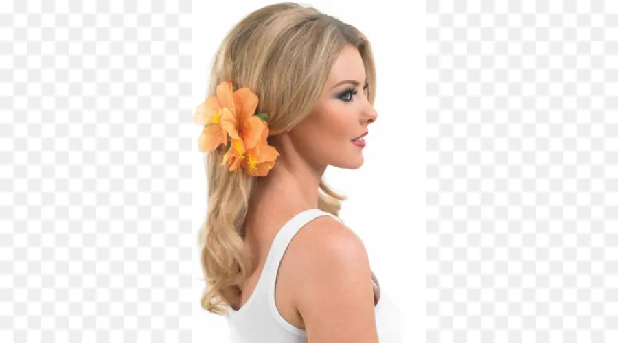 Cheveux，Hawaii PNG
