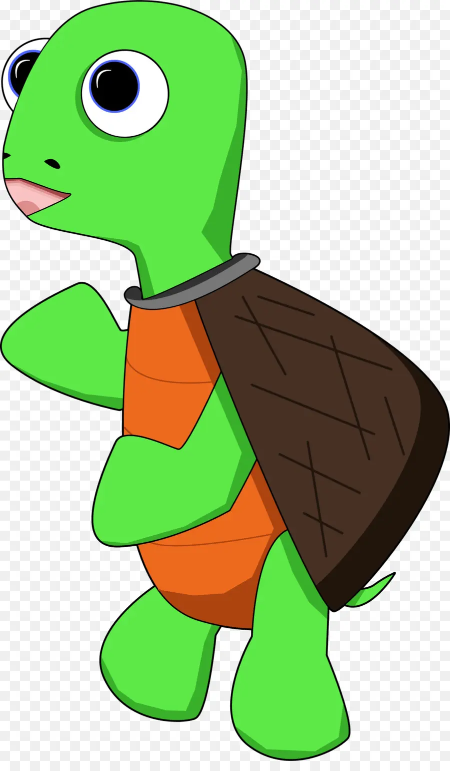 Tortue，Reptile PNG