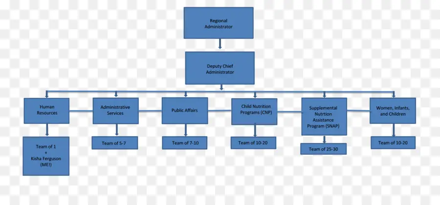 Organigramme，Organisation PNG