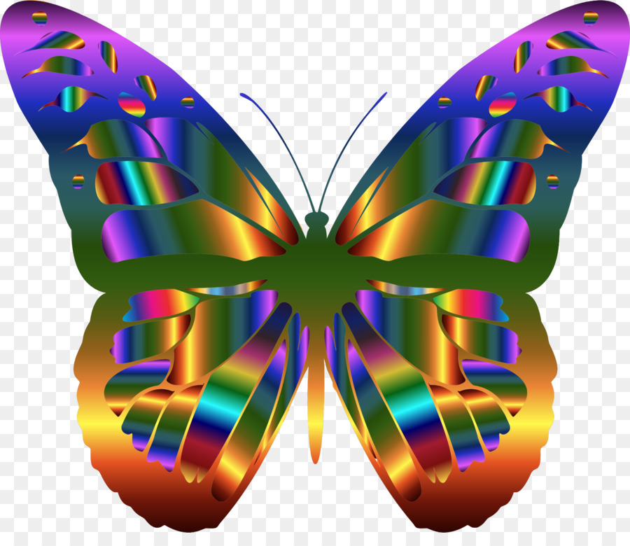 Papillon Coloré，Ailes PNG