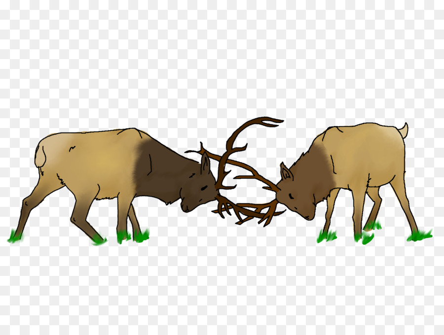 Cerf，Bois PNG