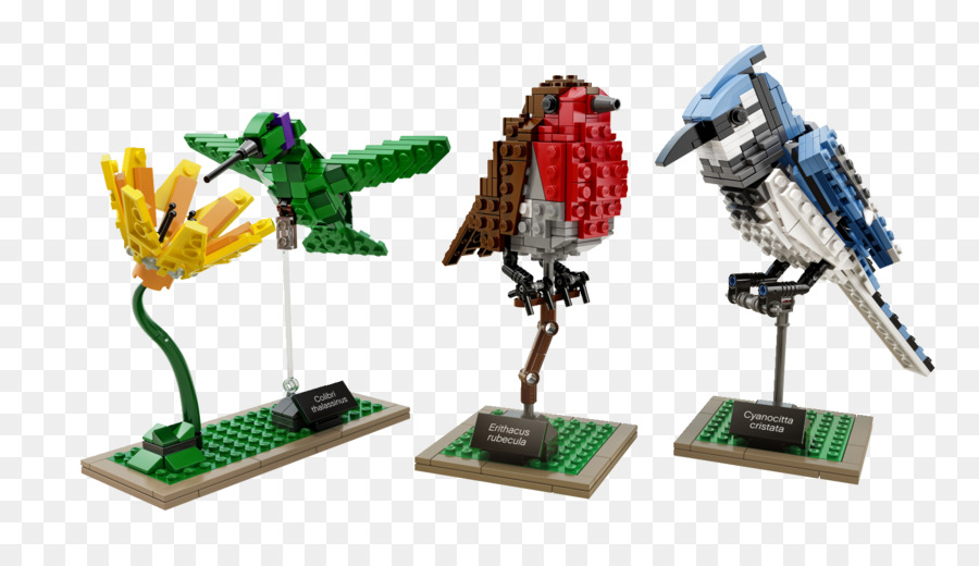 Oiseau，Lego Idées PNG