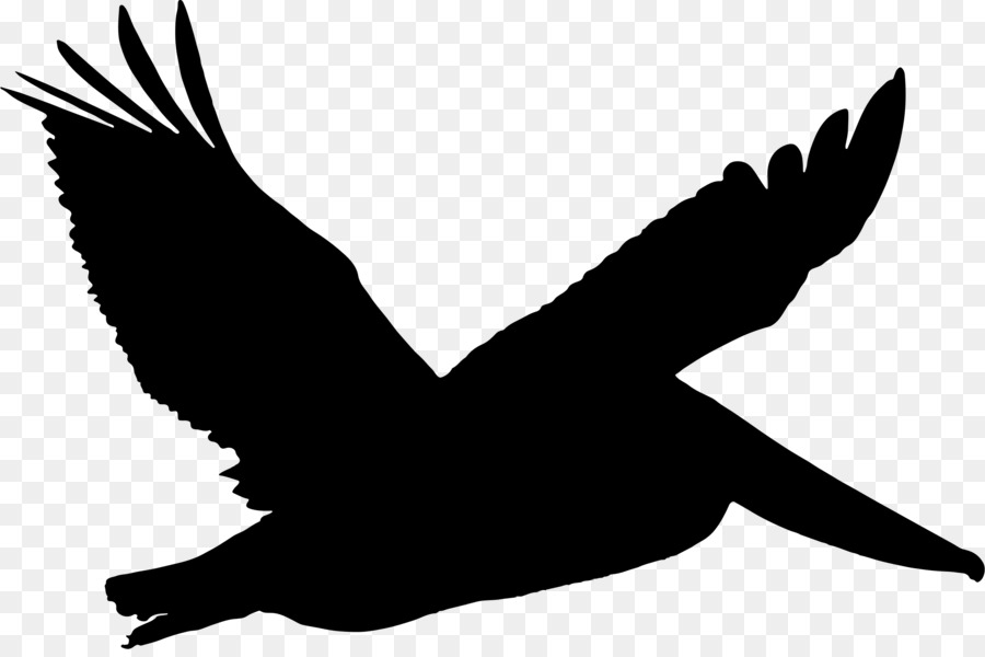 Oiseau Noir，Vol PNG