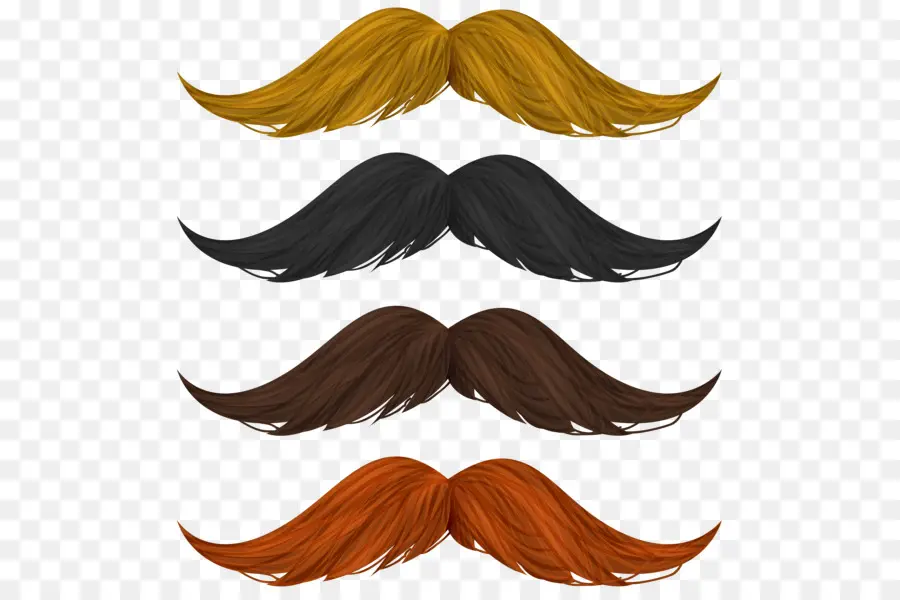 Moustache，Poils Du Visage PNG