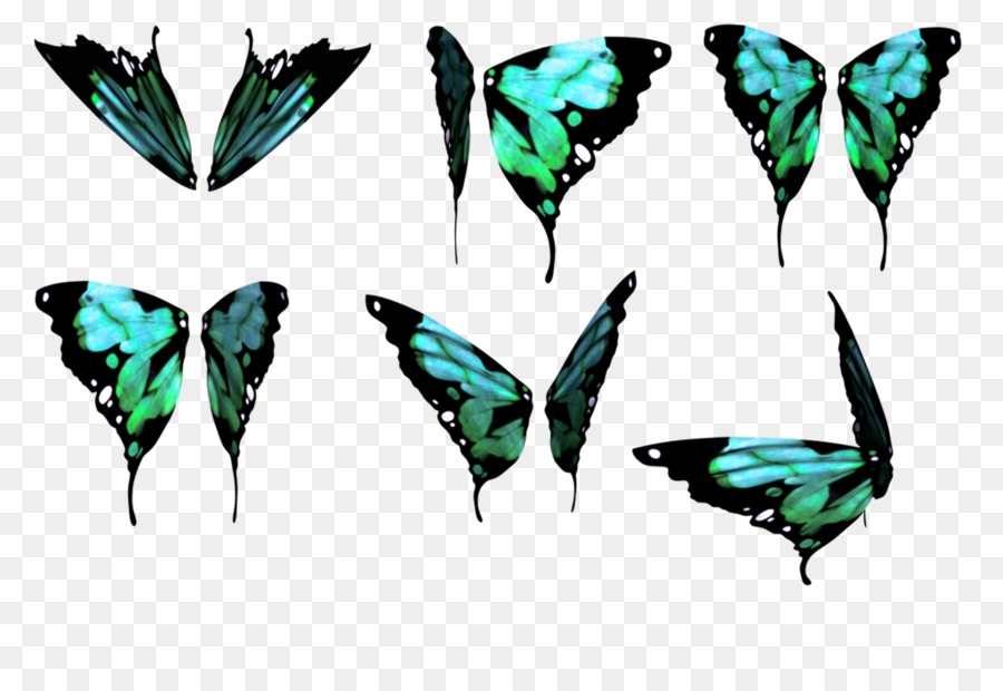 Ailes De Papillon，Coloré PNG