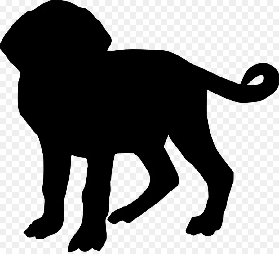 Silhouette De Chien Noir，Animal De Compagnie PNG