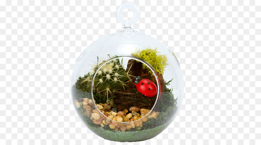 Terrarium，Usine PNG