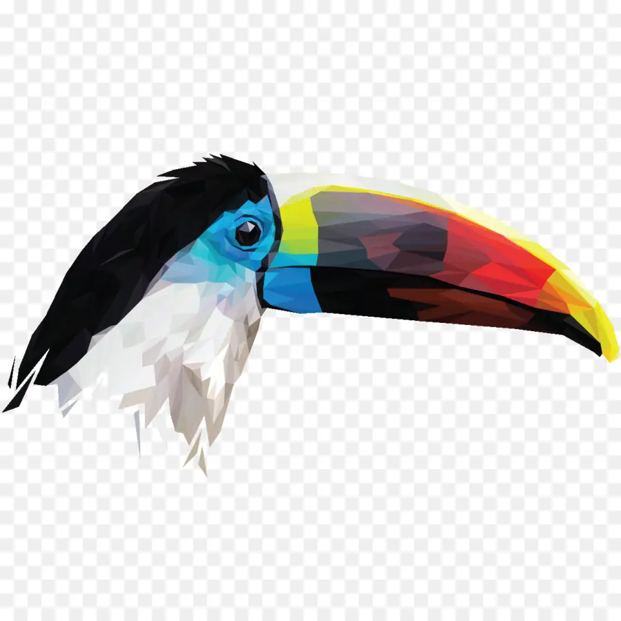 Toucan，Coloré PNG