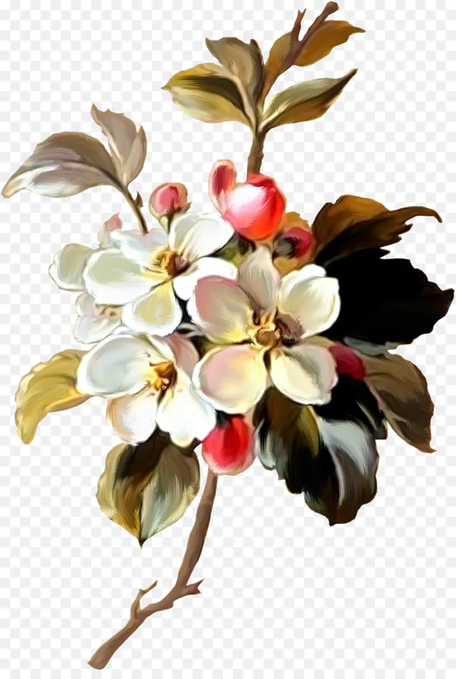 Branche De Fleurs，Fleurir PNG