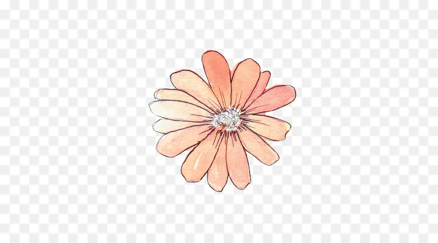 Dessin De Fleur，Orange PNG