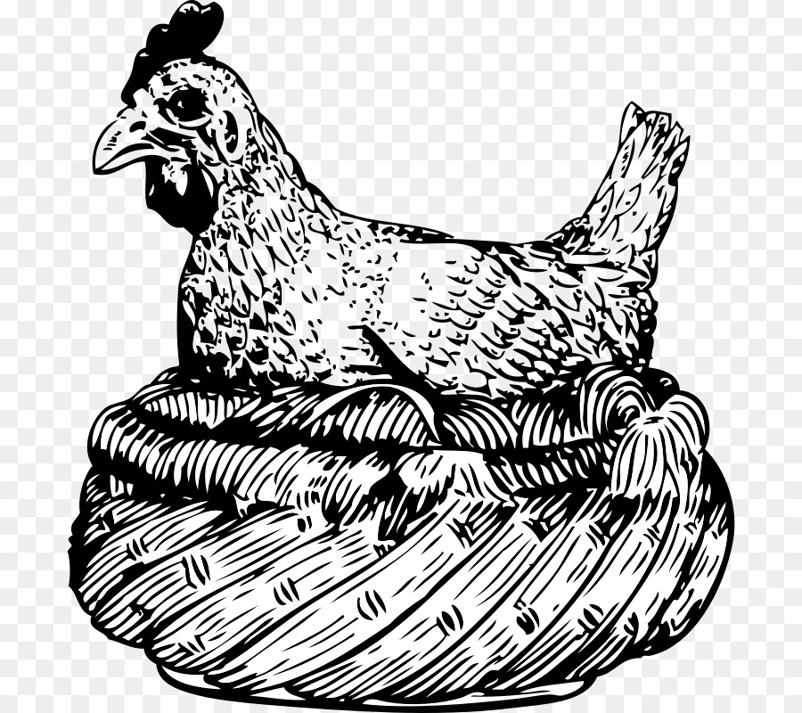 Poulet，Poule PNG