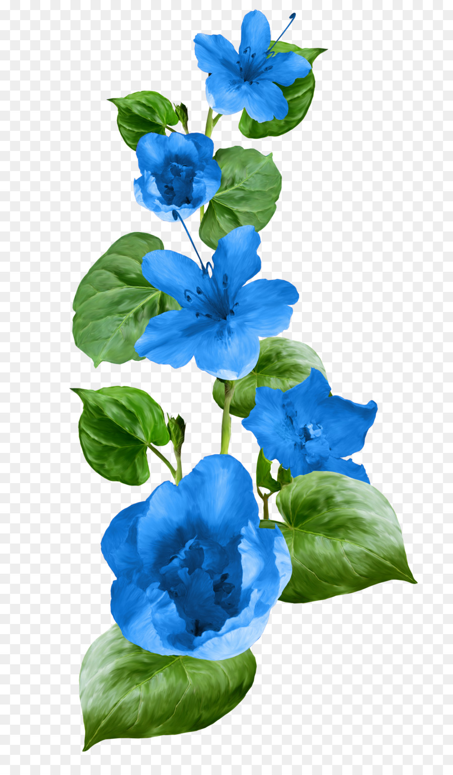 Fleurs Bleues，Bleu PNG