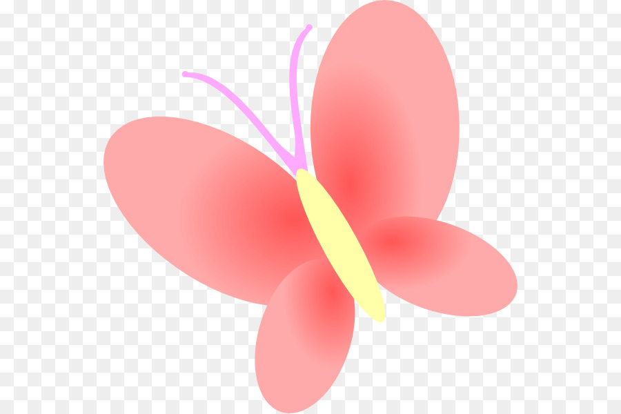 Papillon，Rouge PNG