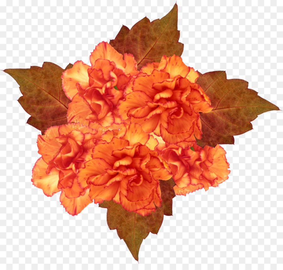 Pétale，Fleur PNG