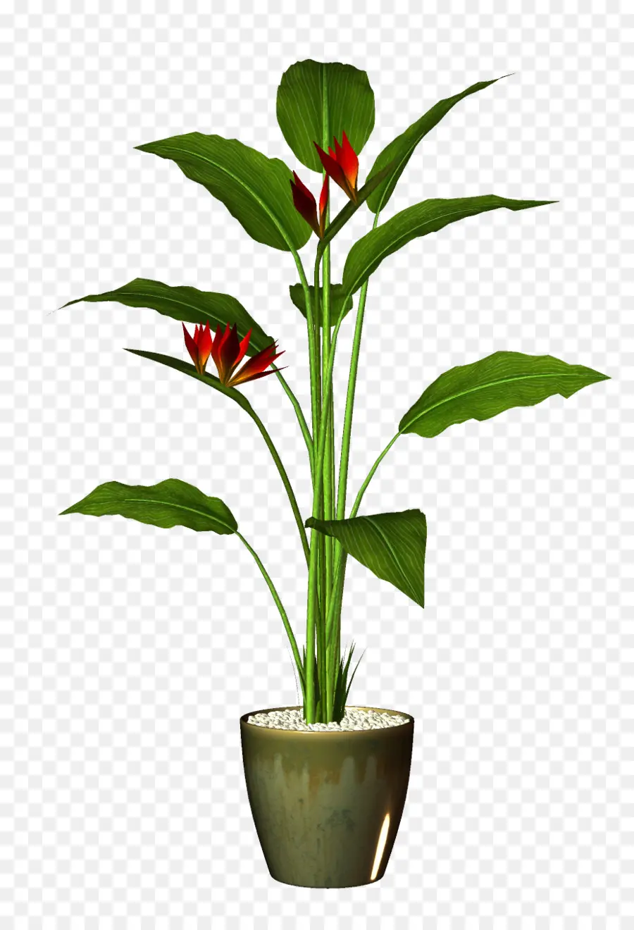 Pot De Fleur，Plante D'appartement PNG