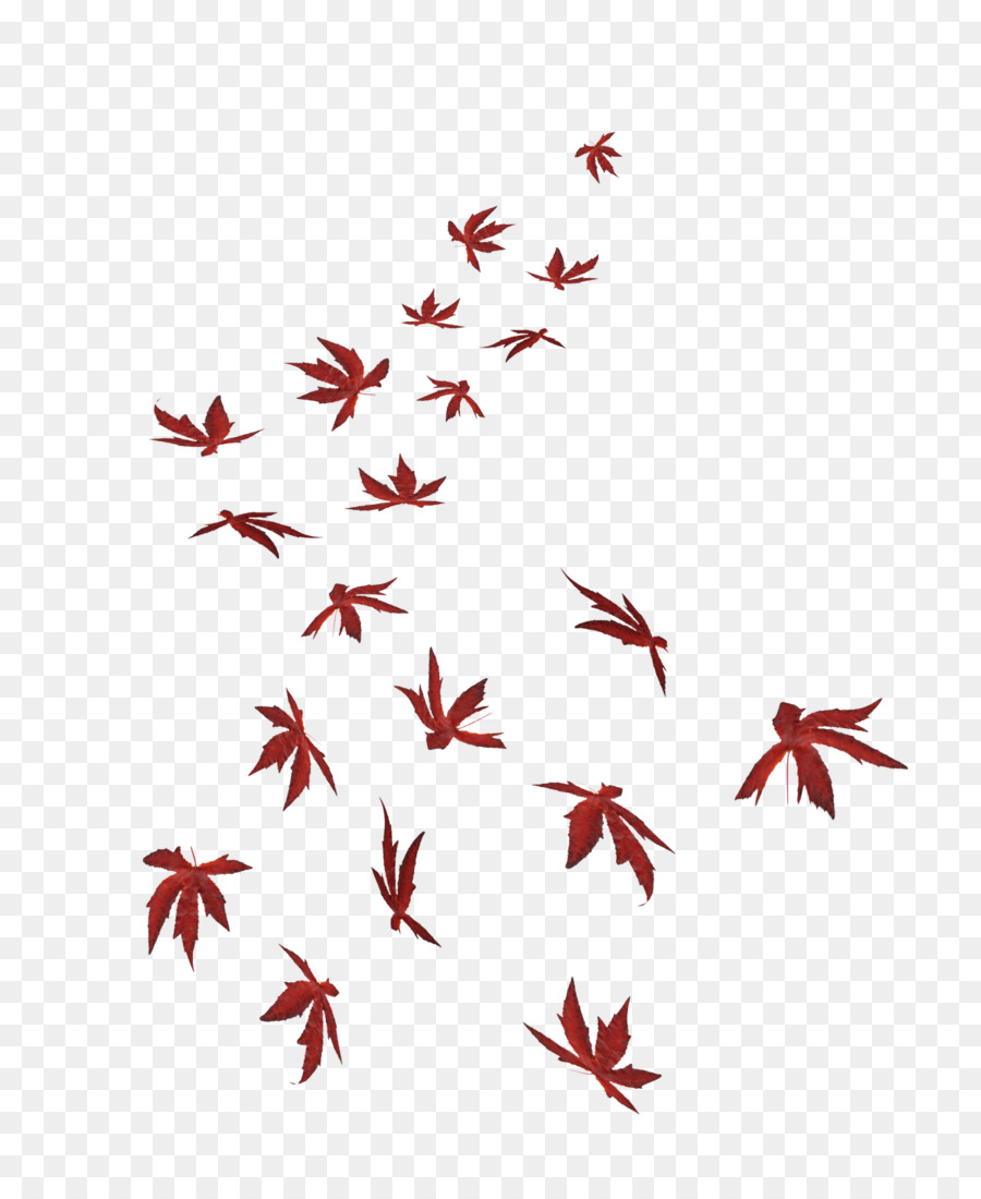 Feuilles Rouges，Automne PNG