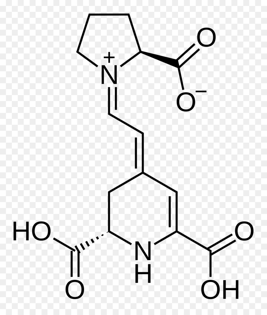 Structure Chimique，Molécule PNG