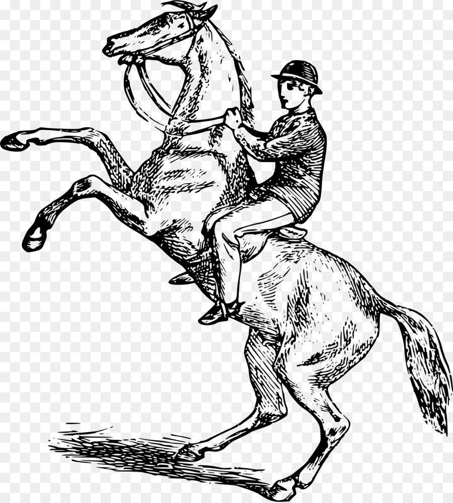 Cheval，Cavalier PNG