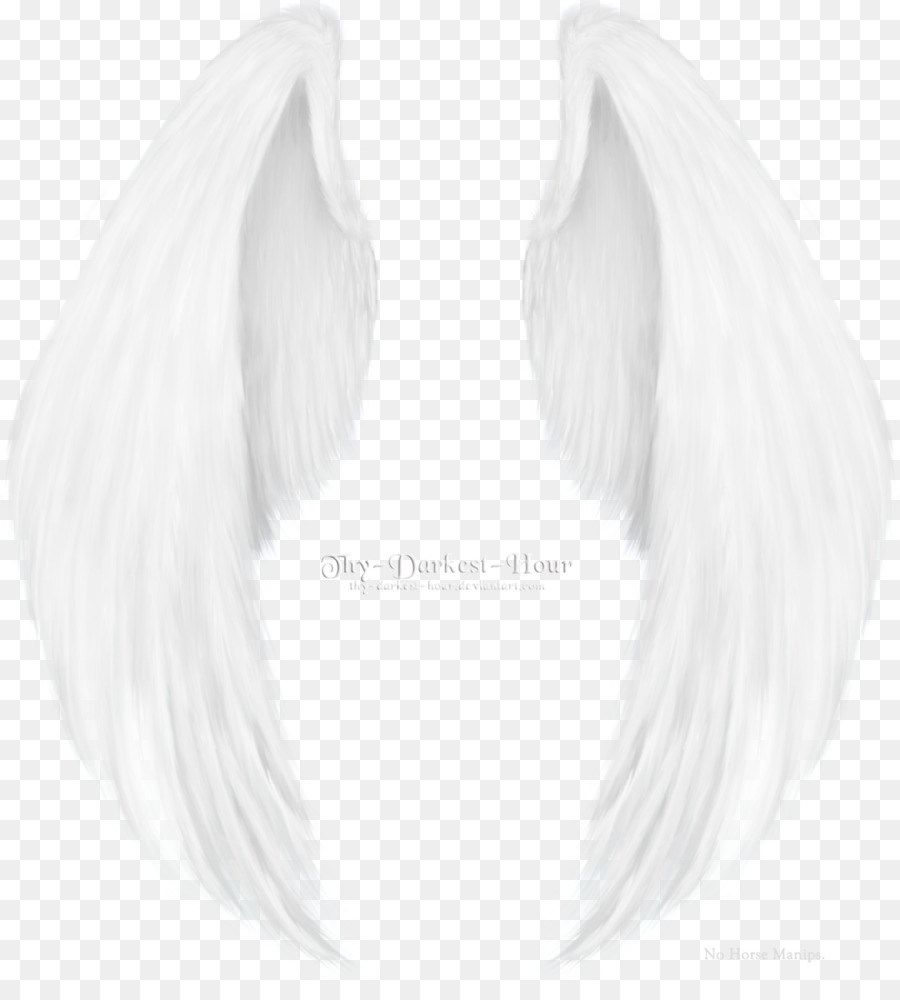 Ailes Blanches，Ange PNG