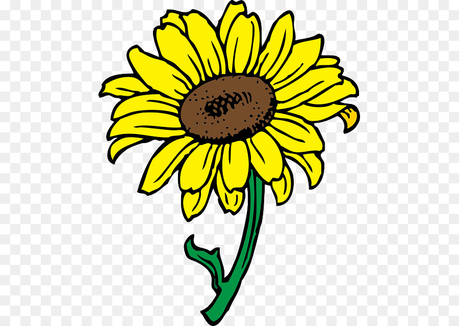 Commune De Tournesol，Télécharger PNG