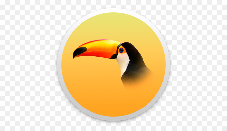 Oiseau，Toucan PNG