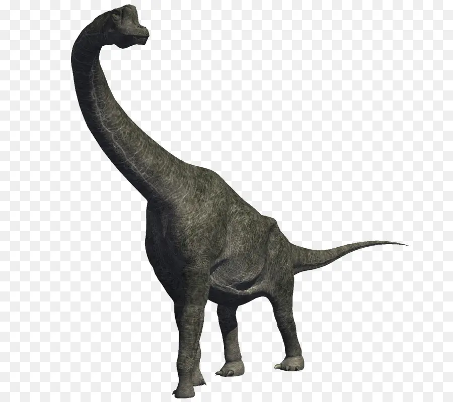 Dinosaure，Préhistorique PNG