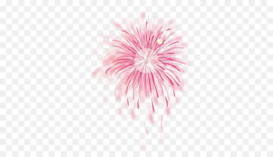 Feu D'artifice，Rose PNG