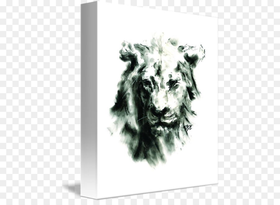 Lion，Dessin PNG