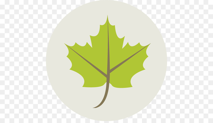 Feuille Verte，Feuille PNG