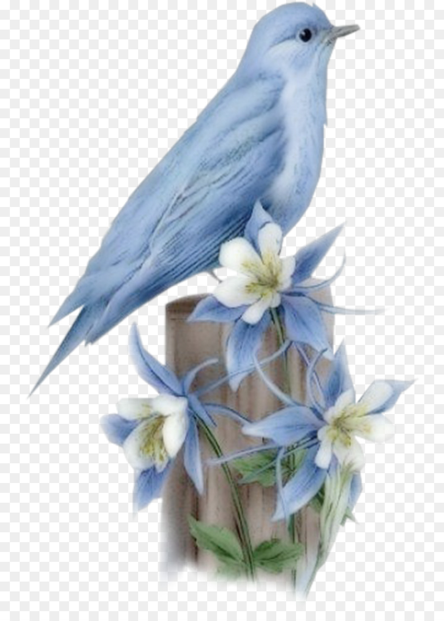 Oiseau Bleu，Fleurs PNG