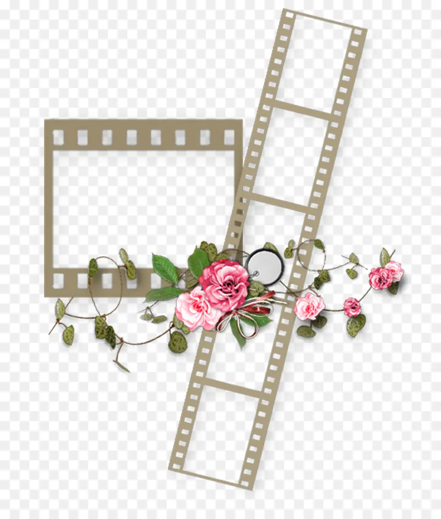 Bande De Film Avec Des Fleurs，Roses PNG