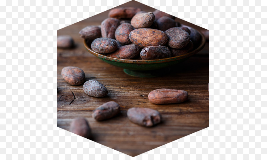 Fève De Cacao，Barre De Chocolat PNG