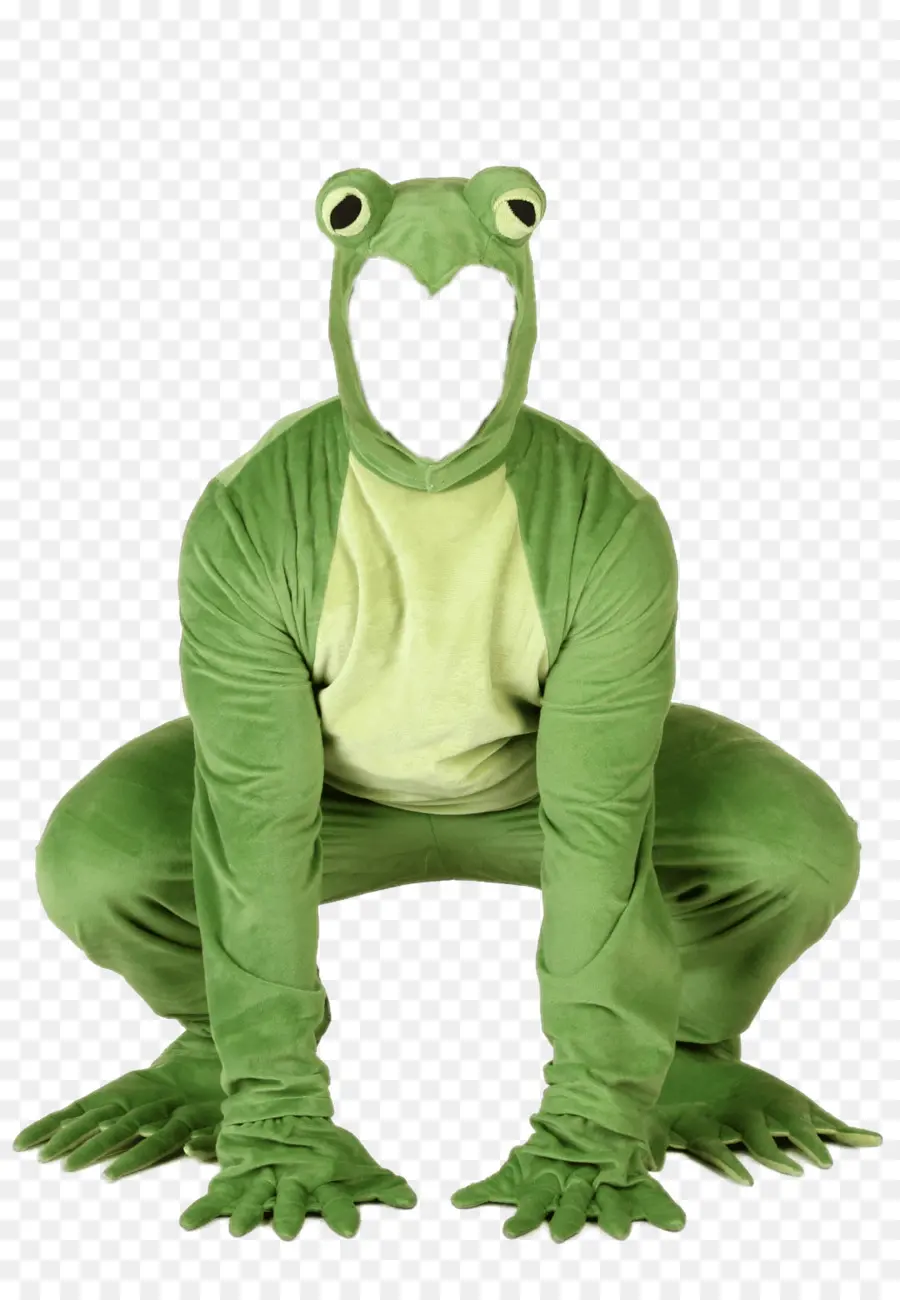 Kermit La Grenouille，Grenouille PNG