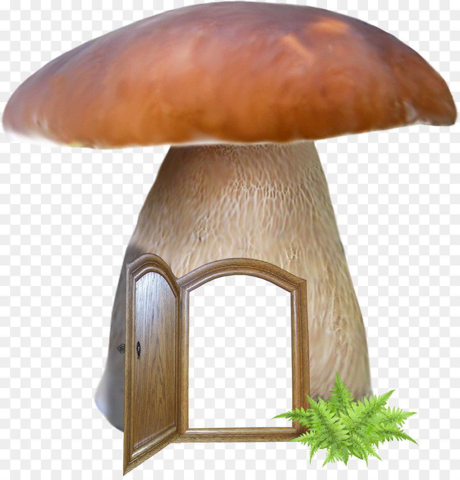 Maison Aux Champignons，Porte PNG