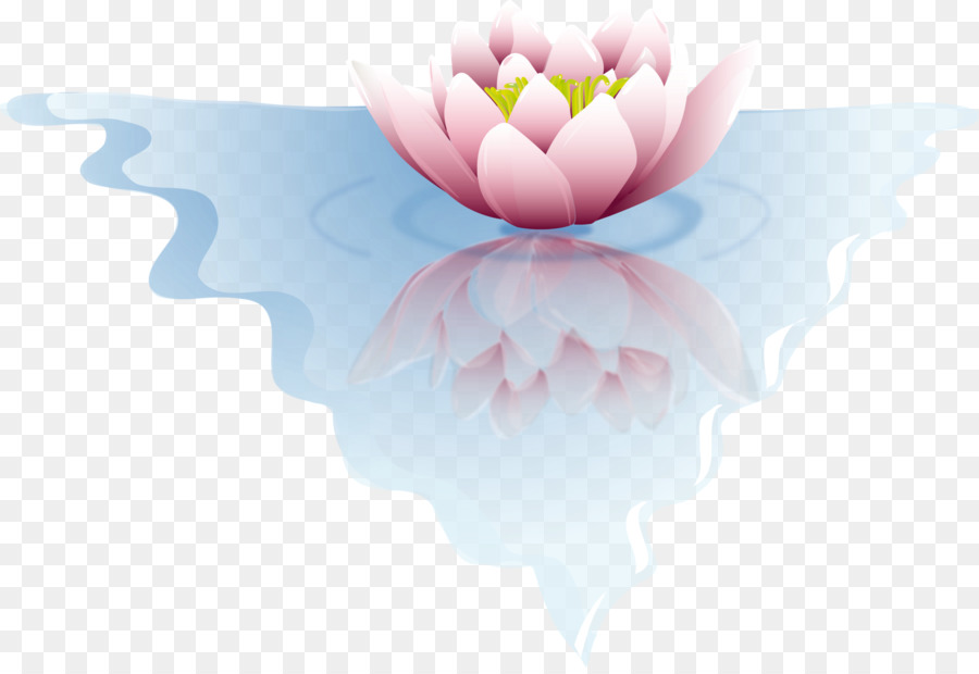 Fleurs De Lotus，Rose PNG