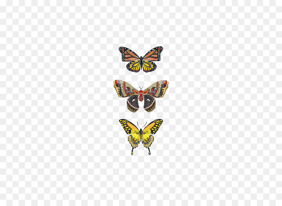 Papillon，Les Insectes PNG