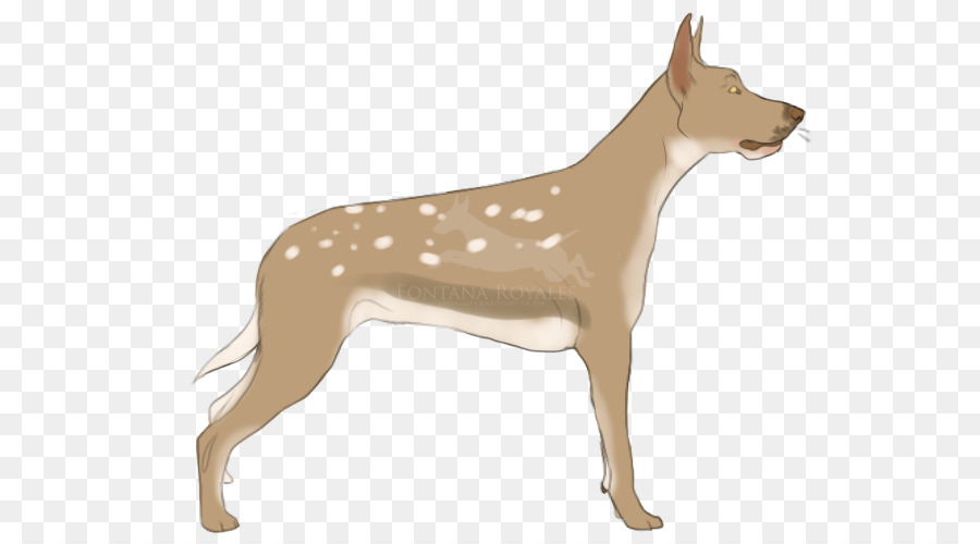 Chien，Animal De Compagnie PNG