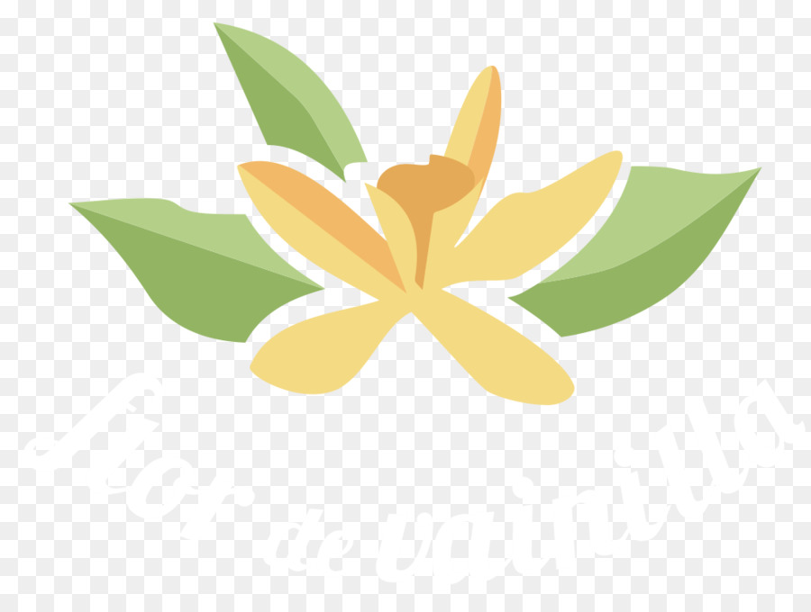 Fleur，Feuille PNG