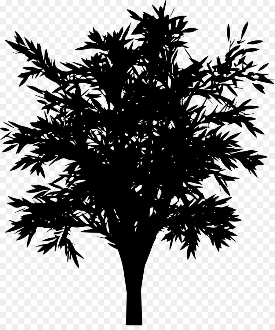 Silhouette D'arbre，Noir PNG